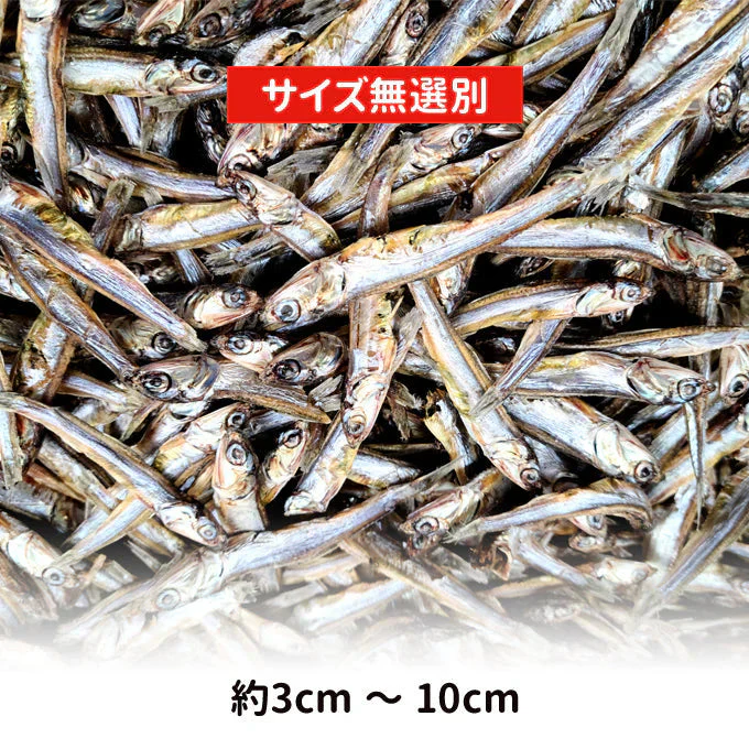 好評につき完売いたしました。訳あり 田作り ごまめ 200g サイズ 無選別 常温便 ネコポス 送料無料