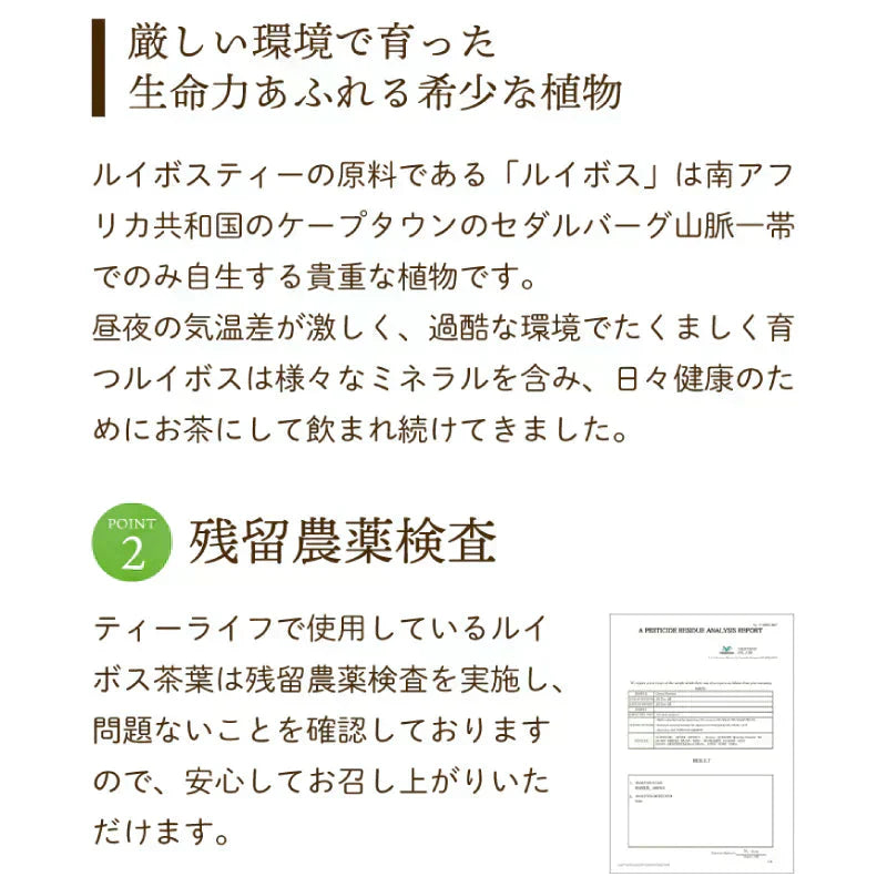<98403>ゴールデングリーンルイボスティー50個入 水出し ティーバッグ ハーブティー ノンカフェイン お茶
