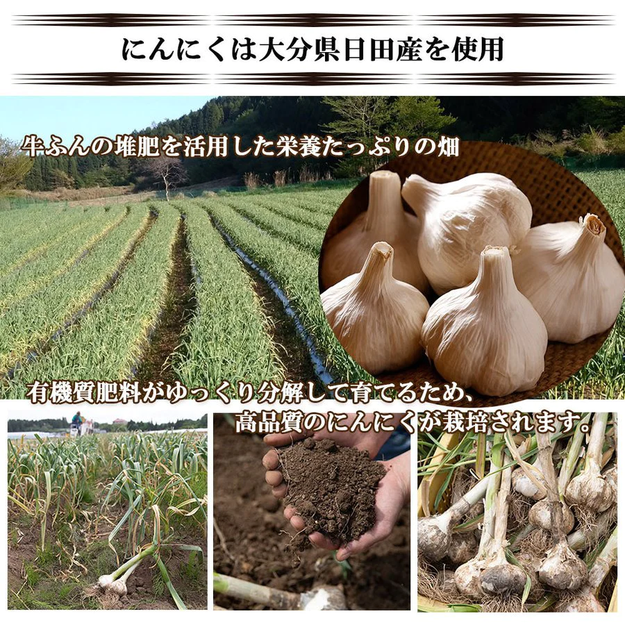 にんにく 黒にんにく にんにく味噌 にんにく醤油 ニンニク ガーリック ギフトセット ギフト 父の日 国産 大分県日田産