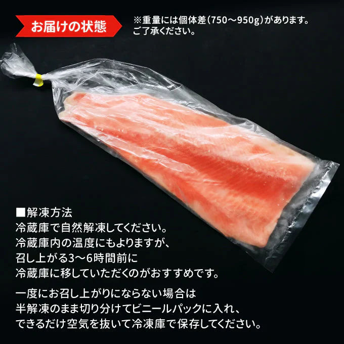 刺身用トロサーモン 半身約800g 送料無料