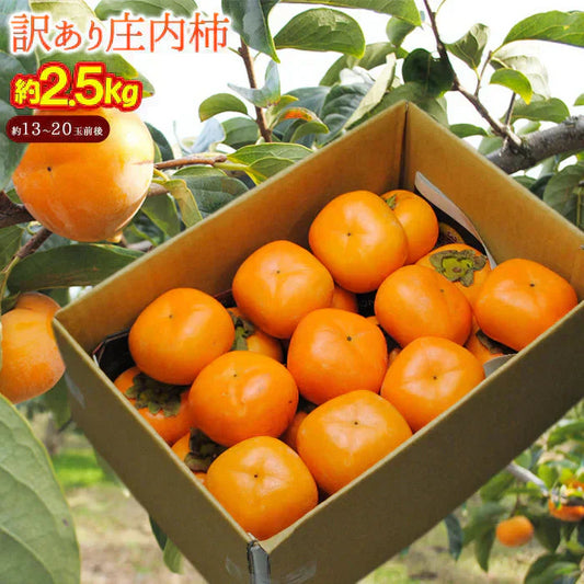 【11月上旬-下旬頃ご注文受付順次】訳あり庄内柿バラ詰め2.5kg前後 種なし柿を産地直送でお届け!ご家庭用にちょっと訳あり柿