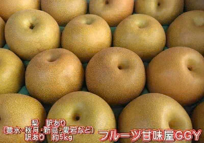 梨 訳あり(愛甘水・幸水・豊水・秋月・新高・愛宕・新興・秋麗・甘太など)約5kg(約5~24玉) 旬な品種をお届け【8月下旬頃~10月下旬順次発送】