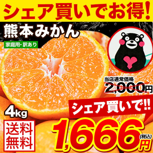 【ブラックフライデー大人数シェア買い】熊本みかん 送料無料 訳あり みかん4kg 規格外 大玉 小玉 不選別 家庭用 柑橘 熊本県産 くまもと風土 《3-7営業日以内に発送予定(土日祝日除く)》