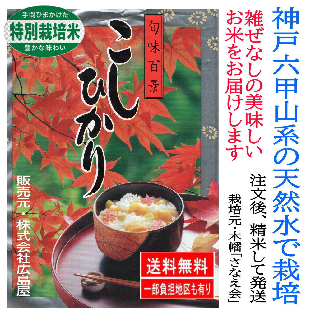 【精米したてを発送 令和4年米】 100% 新米・こしひかり10kg (5kg2袋) 安心・安全のお米 特別栽培米 六甲山系の豊かな山水で栽培 美味しいお米 産地直送 地元農家と提携した ノンブレンド米