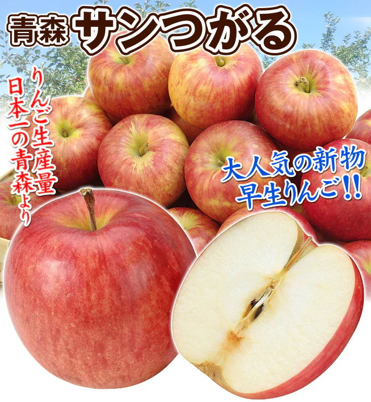 りんご 青森産 サンつがる 約3kg
