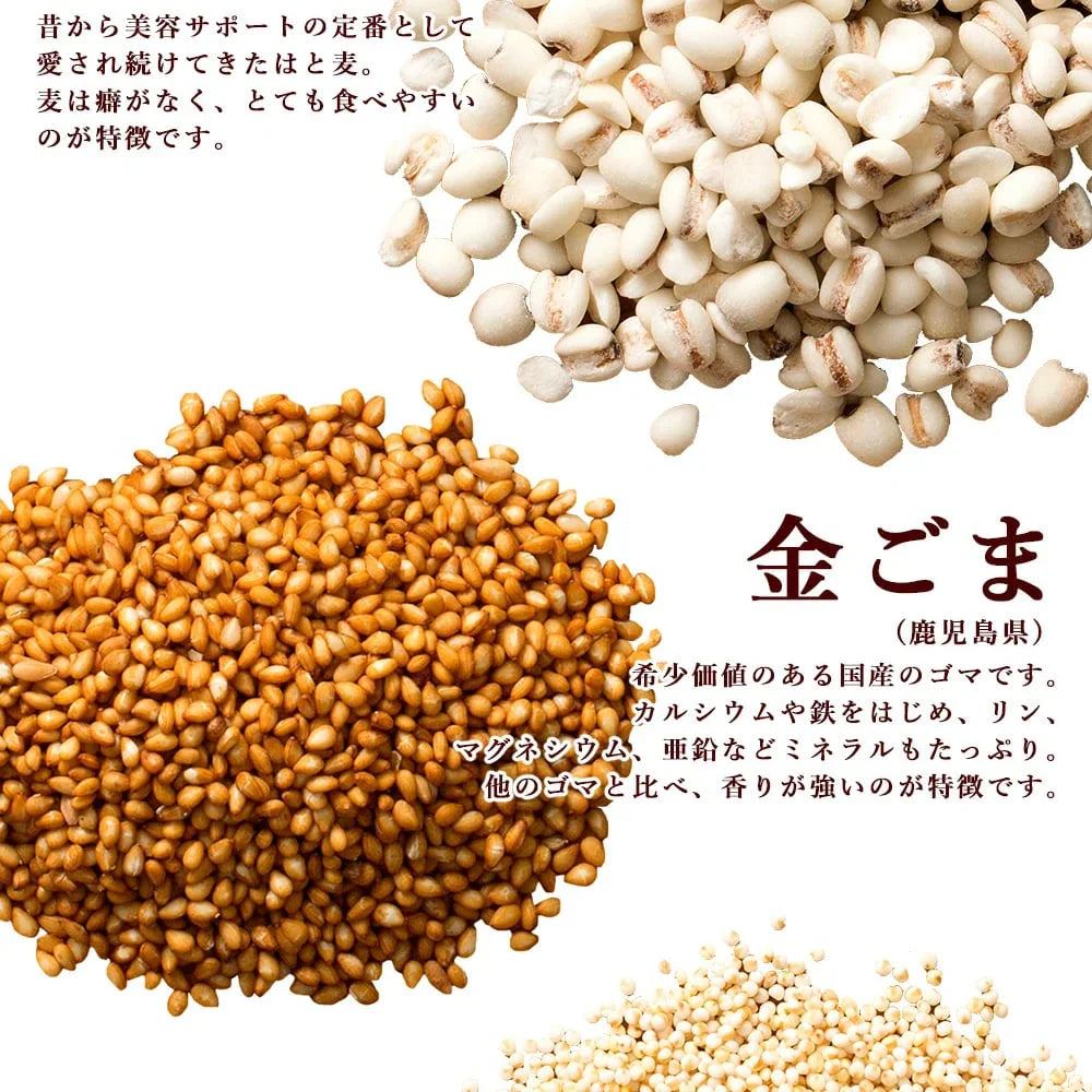 雑穀 雑穀米 国産 胡麻香る十穀米 400g お試しサイズ 無添加 無着色 送料無料 ポスト投函