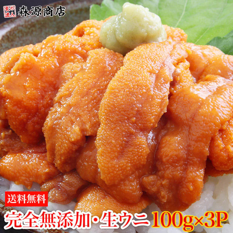 生うに 100g×3パック 完全無添加 みょうばん不使用 お刺身用 生 AAグレード ウニ うに 雲丹 冷凍 送料無料 冷凍便 お取り寄せグルメ 食品 ギフト