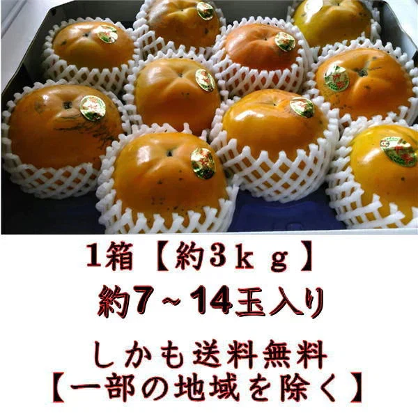【10月中旬より順次発送予定】太秋柿 訳あり 1箱(約3kg) 約7~14玉 送料無料 80サイズ