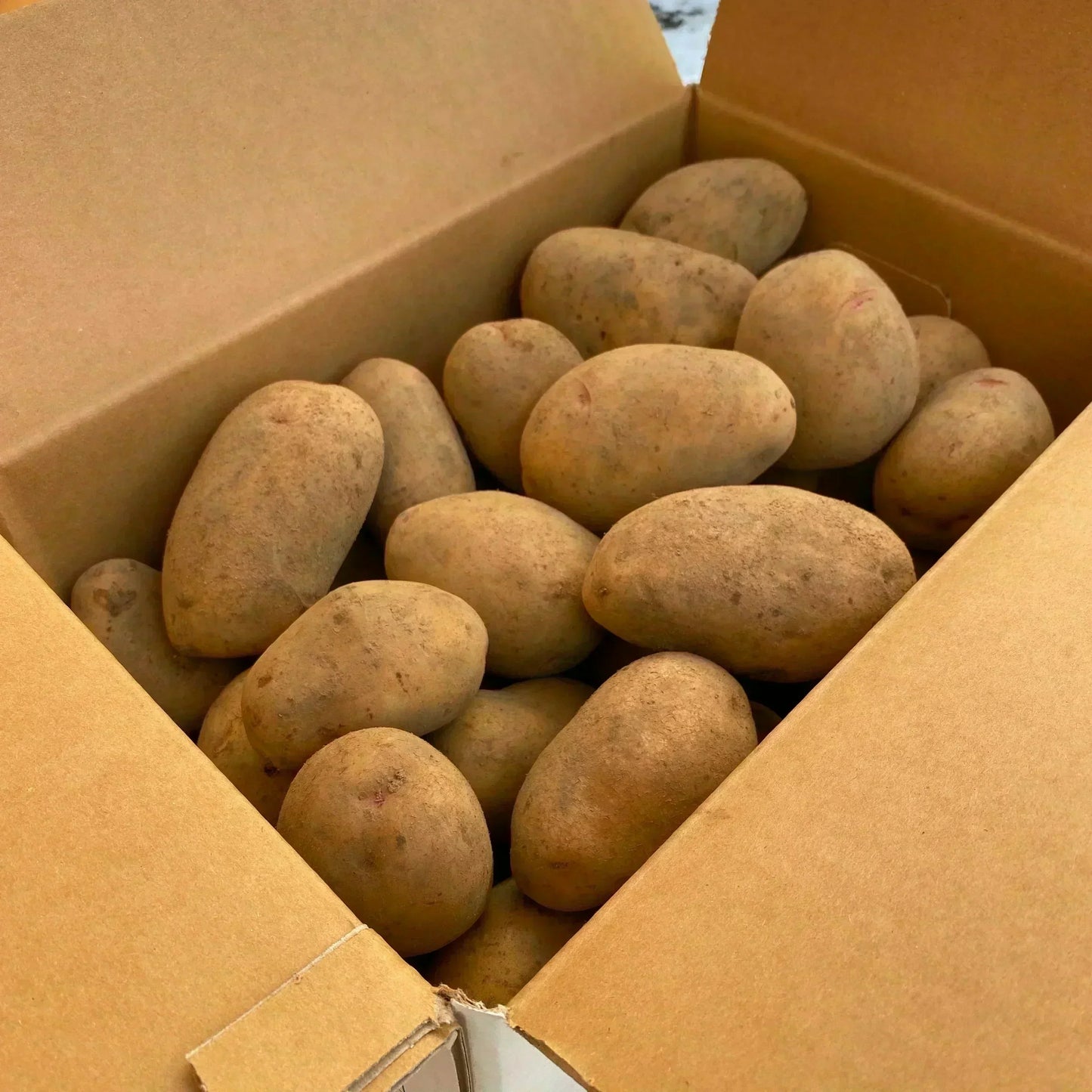 クール便【北海道 産直】訳あり 熟成じゃがいも 5kg はるか