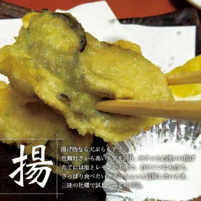 【生食OK】三陸産 殻付き 生牡蠣 3kg 今季初出し 希少 数量限定 新鮮 宮城 石巻 鉄分 ミネラル豊富 希少 貝 魚介類 かき 栄養 海の幸