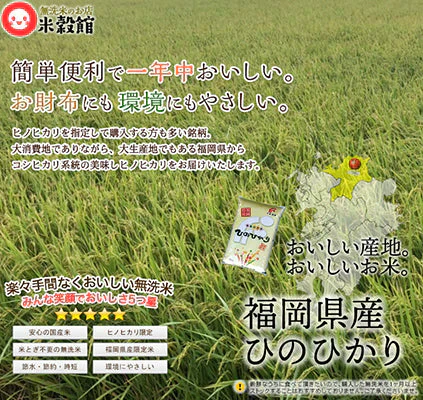 無洗米 2kg 送料無料 九州産 福岡県産ヒノヒカリ 2kg×1 令和7年産
