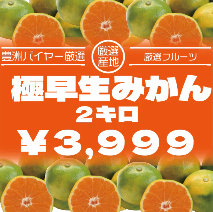 【旬の走り!大人気極甘みかん!2キロ!極早生みかん】豊洲市場 みかん 旬