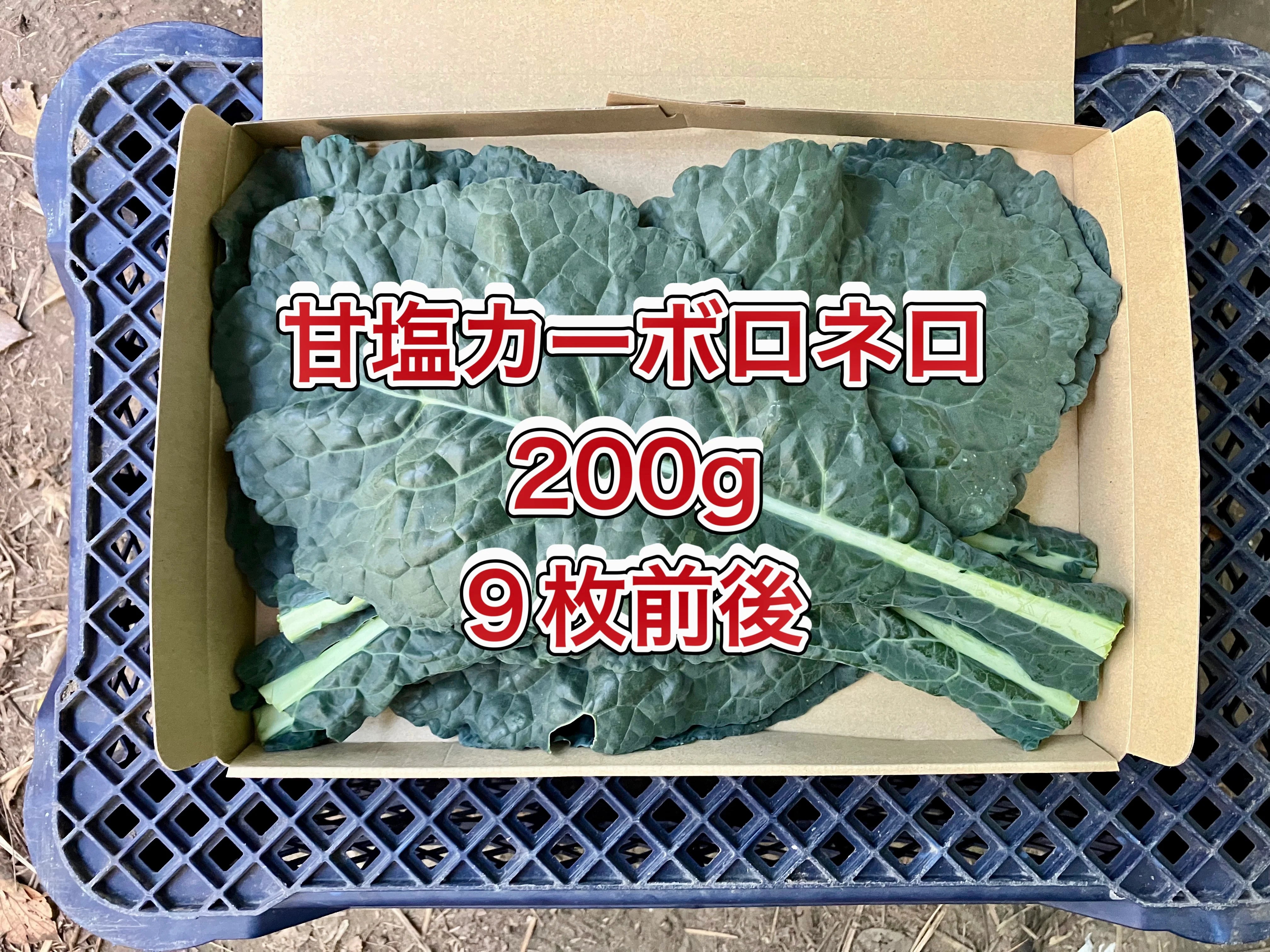 【鹿児島産】甘塩野菜セット4品目^_^