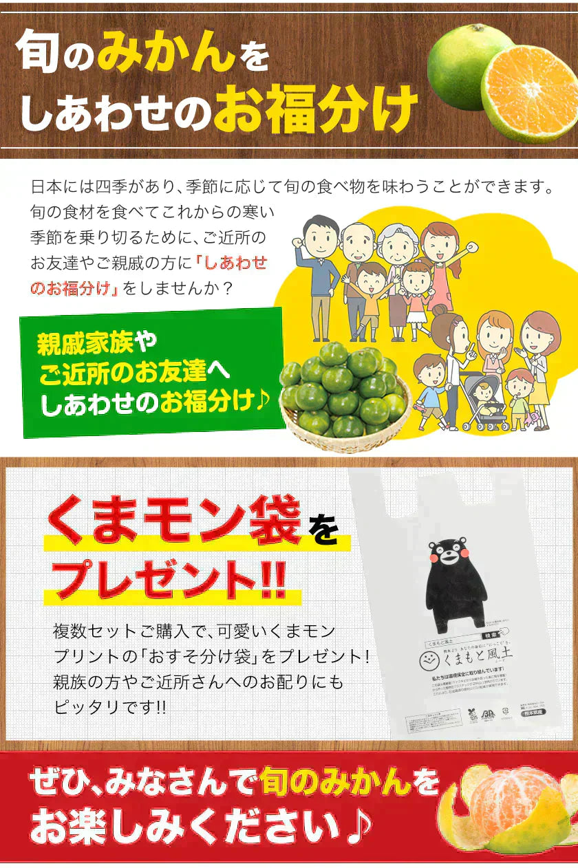 小玉 みかん 送料無料 訳あり みかん 小粒 1.5kg 家庭用 箱買い 果物 小粒 熊本 極早生 柑橘 九州 訳アリ だけど 小玉 で 甘い 蜜柑 わけあり 《9月中旬-9月末頃より発送予定》