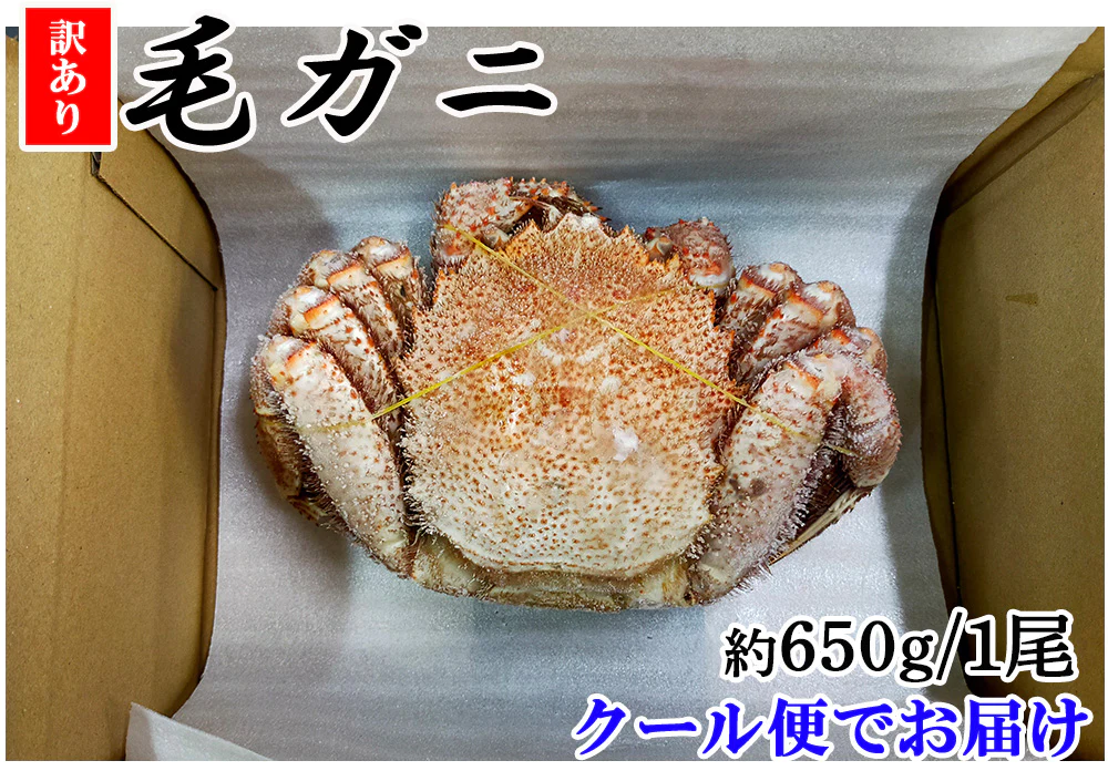 毛ガニ 毛蟹 訳あり 650g 1尾 かに姿 カニ味噌 かにしゃぶ 蟹 カニ かに 北海道産 shr-018