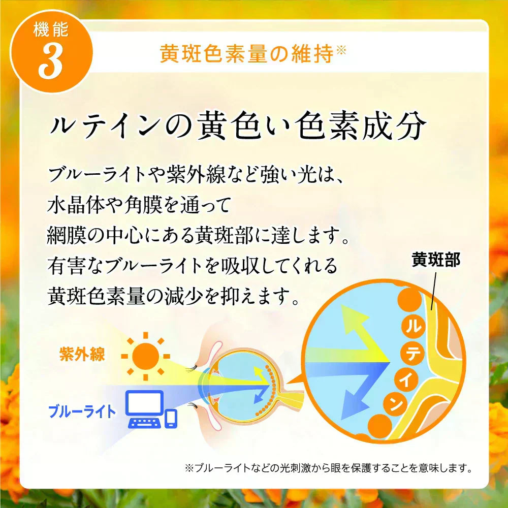 アイジェニック 約1ヶ月分 機能性表示食品 ルテイン