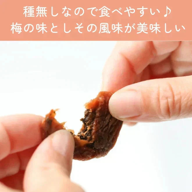 【種なし】梅干し 個包装 赤しそ入り 塩分補給 90g /しそ梅ちゃん うめぼし 干し梅 梅菓子 お菓子 おやつ おかし 梅 梅干 持ち運び お茶うけ お茶 非常食 子供 大人 熱中症対策 種無し干し梅