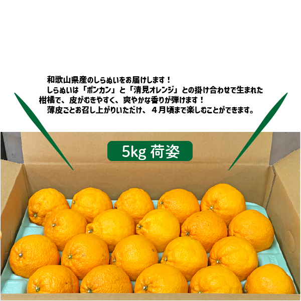 和歌山県産 しらぬい 約5kg 和歌山 不知火 ギフト 自宅用 贈答 柑橘