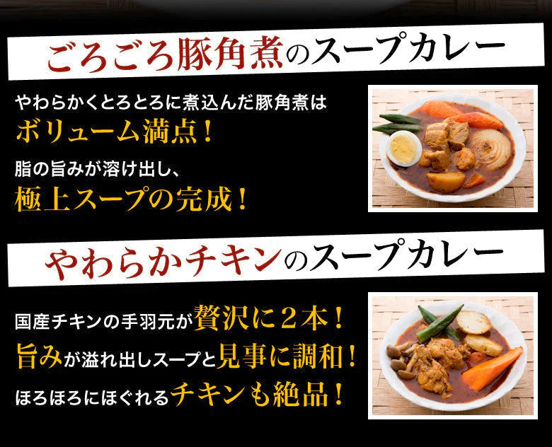 【ご新規さんとシェア買い】札幌極みスープカレー(2食セット)