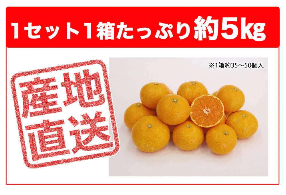 【最安値挑戦祭】みかん 5kg 送料無料 愛媛 みかん 温州みかん ミカン 蜜柑 安い 甘い 箱買い 産地直送 愛媛県産 YDF-00
