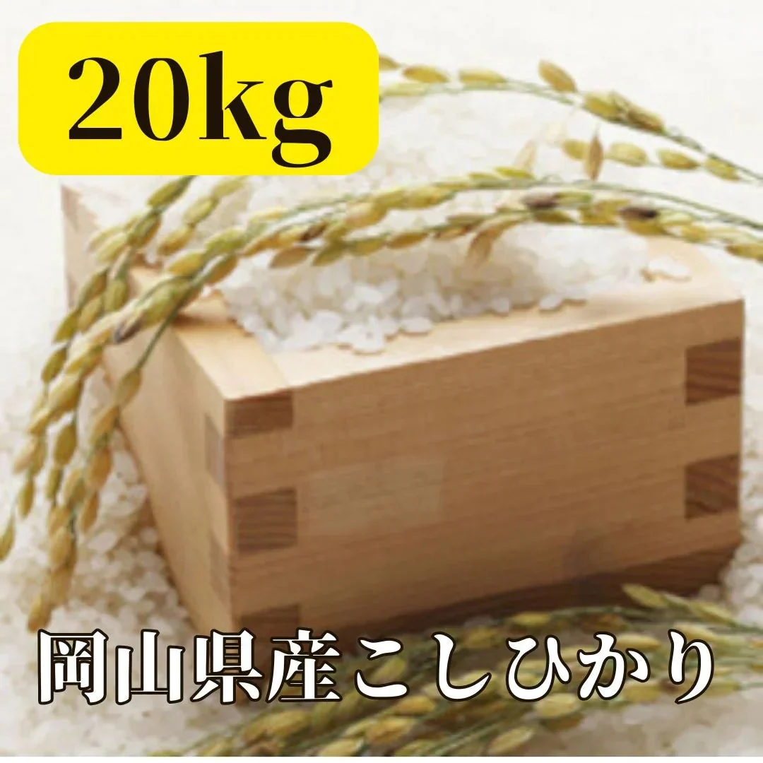 岡山県産こしひかり 20kg 精白米 JAS認証一等米