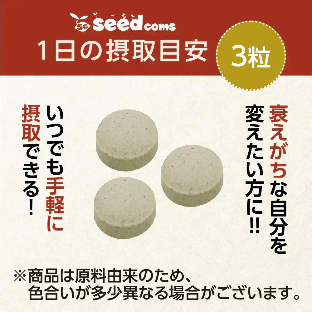 マカ 《約3ヶ月分》 サプリ 亜鉛 鉄 必須アミノ酸 男性 女性 元気 エネルギー ビタミン ミネラル 健康 マカ【大容量】