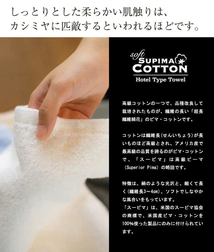 チャコールグレー ミニバスタオル スーピマコットン ホテルタイプタオル 同色2枚セット 【メール便送料無料】