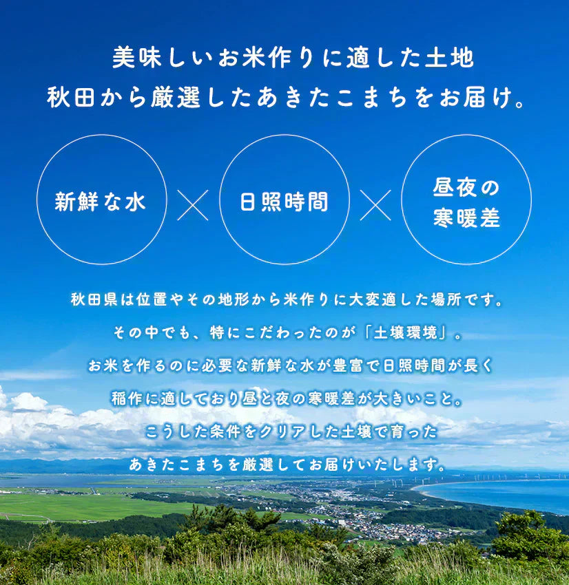 新米!【お助け米20kg】令和7年産 あきたこまち 家計お助け米 農家直送便 20kg(5kg×4袋) 米びつ当番【天鷹唐辛子】プレゼント付き