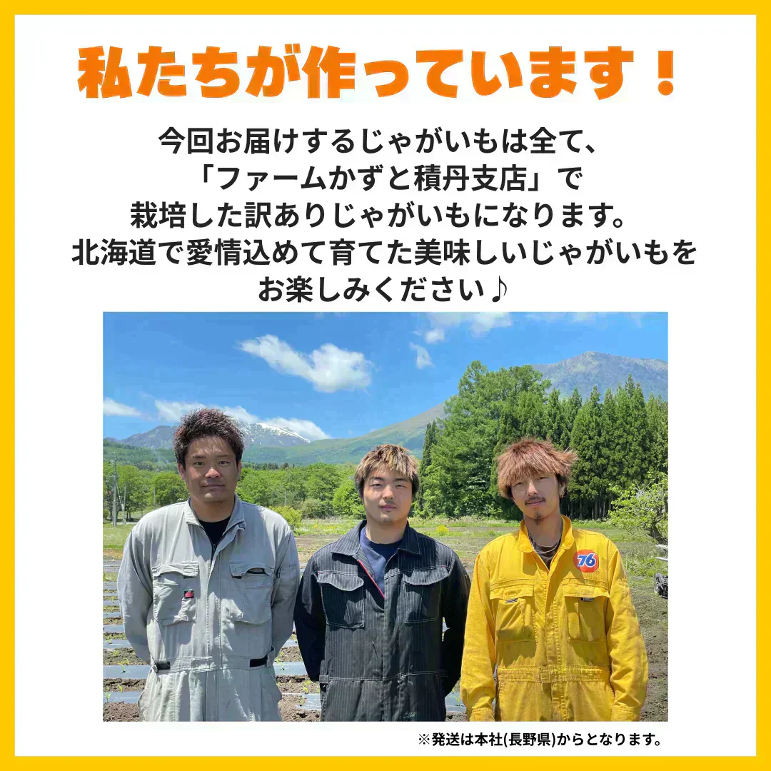 訳あり北海道じゃがいも10kg