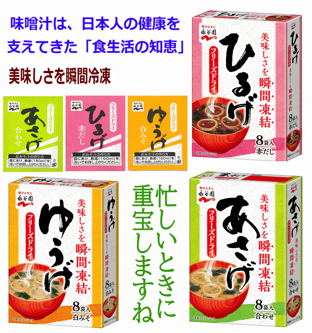 【50周年特別企画50組限定】 インスタント味噌汁 即席みそ汁 永谷園 フリーズドライ 顆粒タイプ 3種 48食 あさげ ひるげ ゆうげ 関東圏送料無料