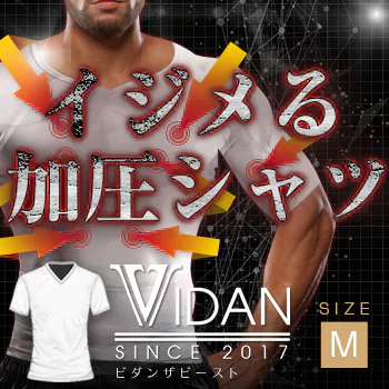 クリックポスト発送 VIDAN THE BEAST 蜘蛛TYPE 白色 ビダンザビースト Mサイズ 公認アンバサダー 新庄剛志 当店完全独占 クリエイターズモデルタイプ 新庄 ビックボス ビダン