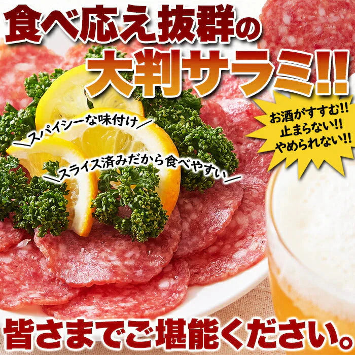 【お徳用】大判サラミ サラミ スライス 120g食べ応え抜群の大判サラミ!!ネコポス