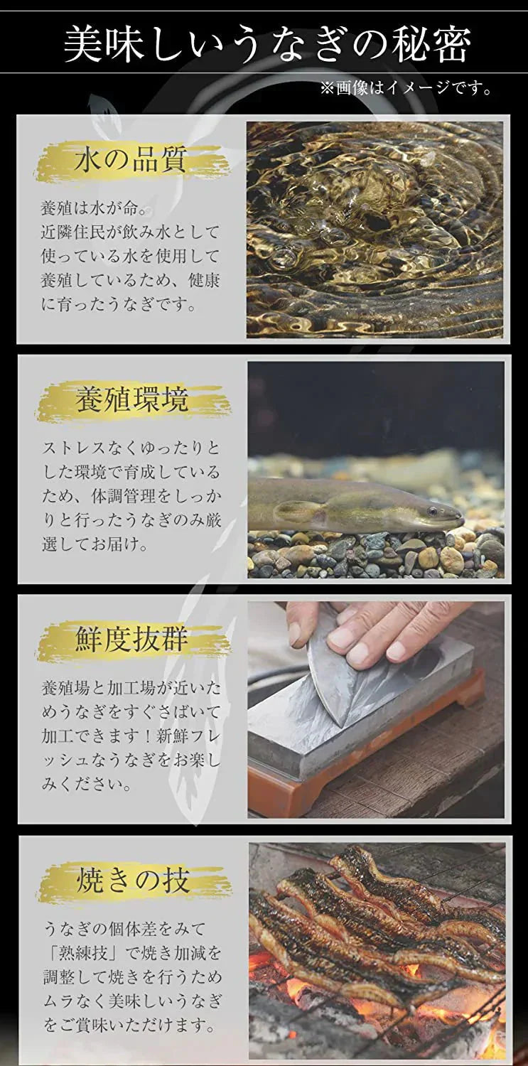 松屋 ふわとろカット鰻80g×10枚 冷凍 うなぎ 鰻 カット 10人前 牛丼 冷凍 土用の丑の日