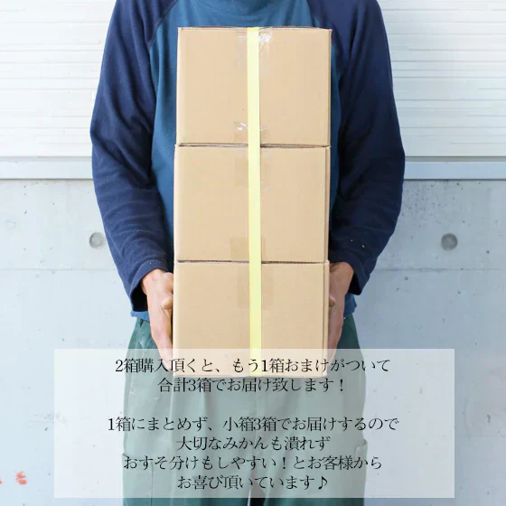 みかん 宇和島ゴールド 2kg fゴ02 2箱ご購入でもう1箱おまけ 家庭用 河内晩柑 ゴールド 愛南ゴールド 美生柑 夏文旦 宇和ゴールド フレッシュつちやま 吉田みかん 愛媛 吉田 宇和島 青果 果物 ミカン 蜜柑 柑橘 フルーツ 送料無料 訳あり