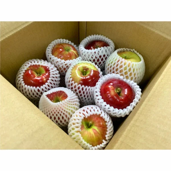 青森りんご 紅玉 訳あり 酸味が強い香りもよく生のまま食べると甘酸っぱくて濃厚な味わい 2.5㎏約12個 変動あり【6133】