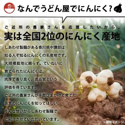 黒にんにく レギュラー 100g  香川県産 お試し 送料無料 しあわせ黒にんにく