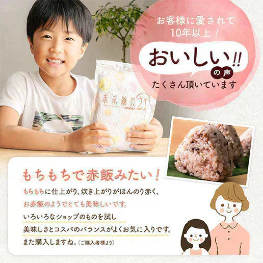 完全国産100% 未来雑穀21(マンナン無添加) 400g