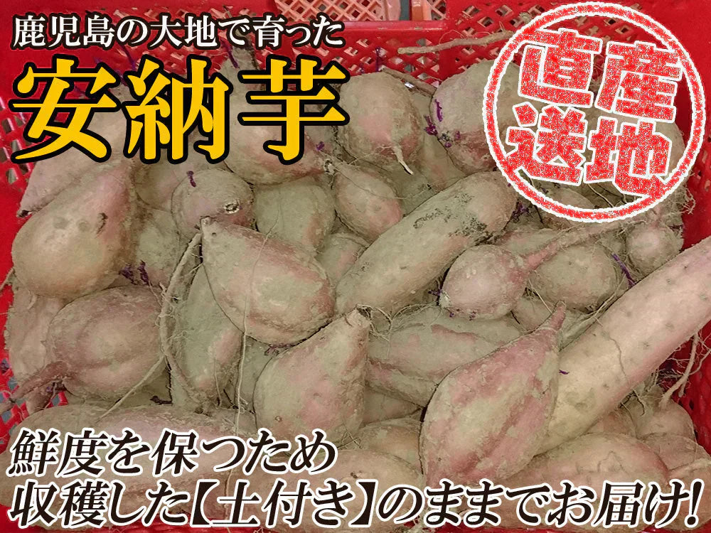 安納芋 5kg 安納いも 安納イモ 産地直送 産直 土付き さつまいも さつま芋 薩摩芋 焼きいも 焼き芋 鹿児島県産 FJK-002