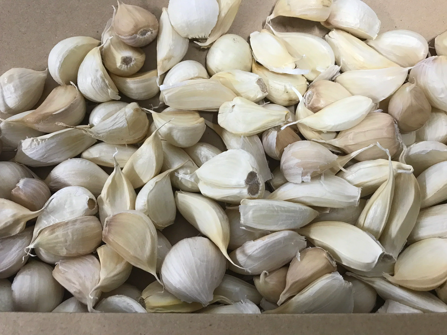 【わけあり品】青森県産ホワイト六片種にんにく バラ 小粒のみ 1kg(500g×2)【高糖度】