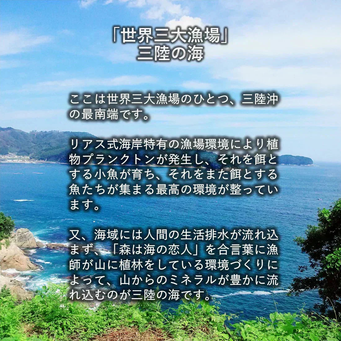 【生食OK】三陸産 殻付き 生牡蠣 3kg 今季初出し 希少 数量限定 新鮮 宮城 石巻 鉄分 ミネラル豊富 希少 貝 魚介類 かき 栄養 海の幸