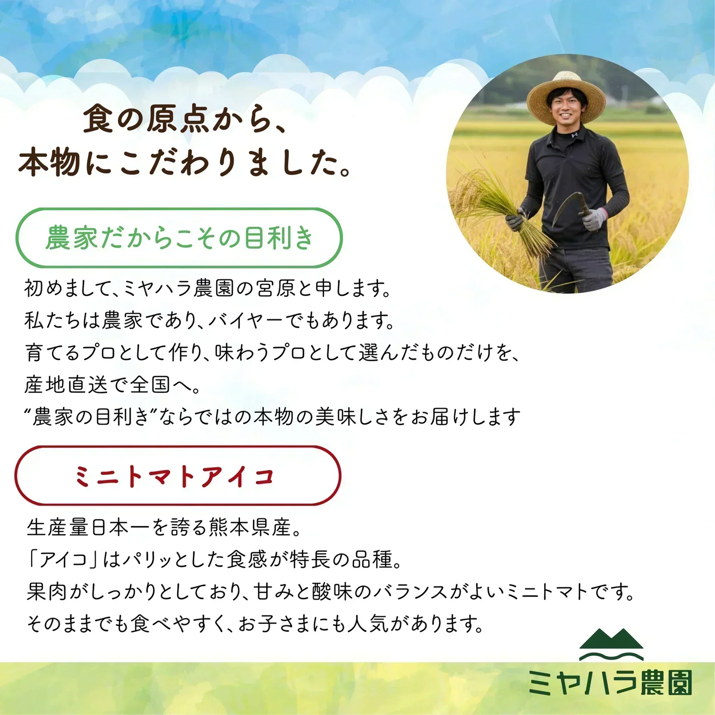 【1番早く届く!】【10月中旬頃〜12月末日までに発送】【予約】1番多い約450g!アイコ ミニトマト(280~300g+保証分150g)日本一の産地から農家直送 熊本県産 野菜 青果 フルーツ【カウシェファーム収穫対象商品】