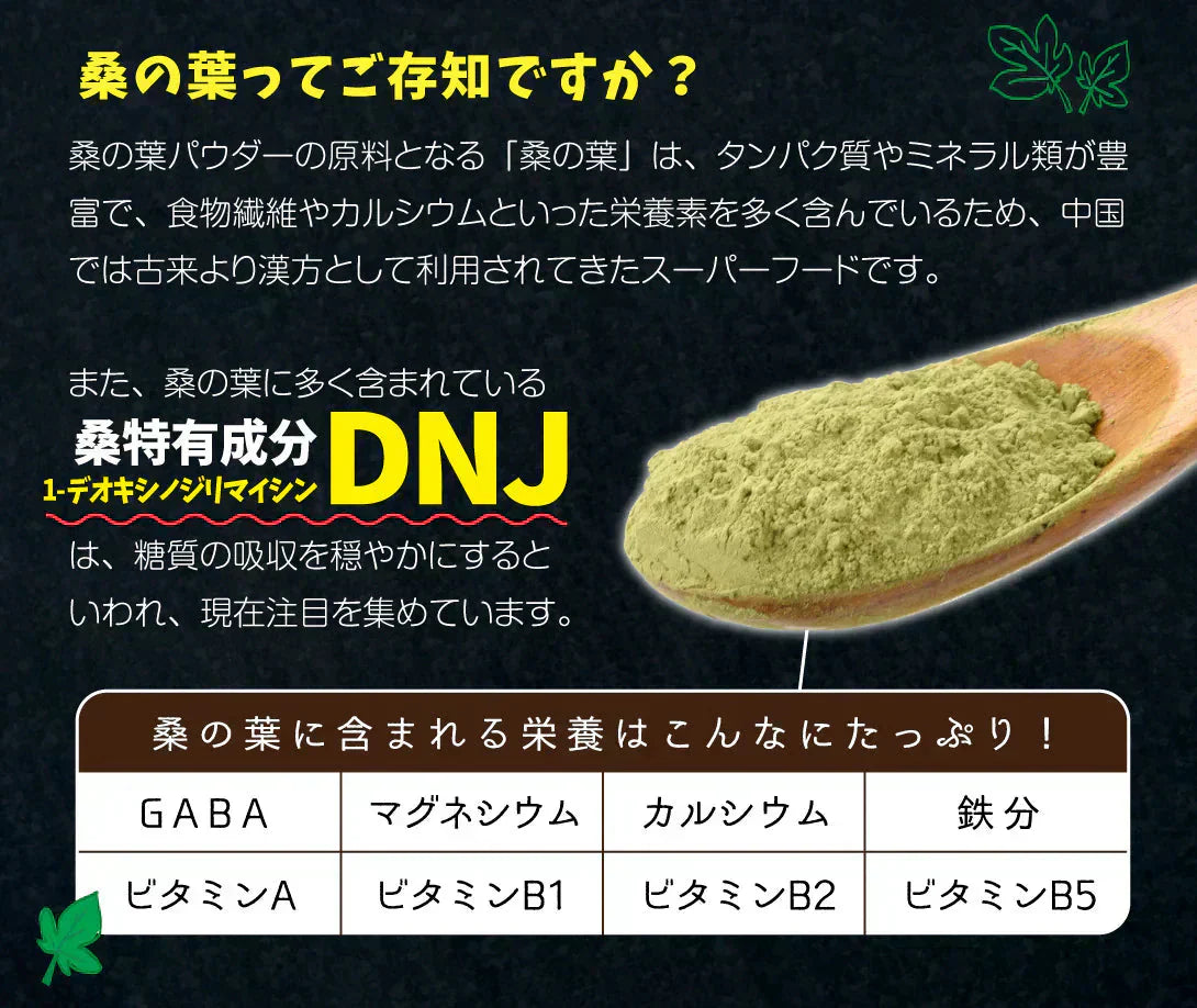 インド産 桑の葉パウダー 100g×1袋