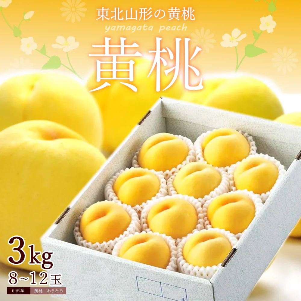 黄桃 約3kg 8-12玉入り 化粧箱 もも 桃 モモ ギフト お中元 黄色い桃 山形産 産地直送