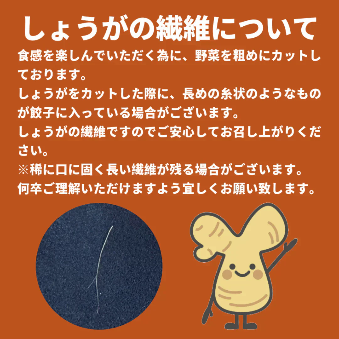メガ盛り!本餃子&しょうが餃子96個(本餃子48個、しょうが餃子48個)