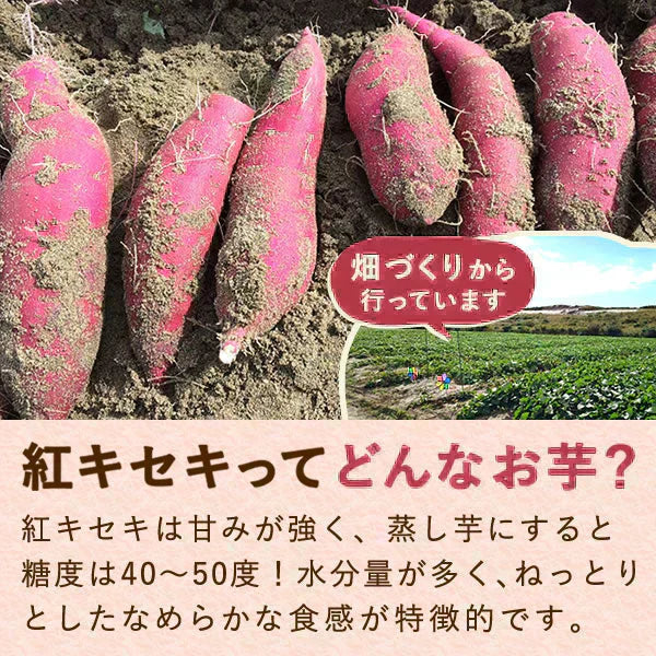 二代目おいもやの熟成干し芋100g×3袋【おいもや】