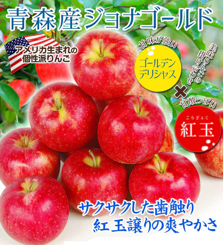 ジョナゴールド 青森産 11玉 化粧箱入り(発送予定:9月上旬より)