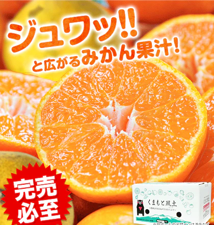 【熊本コレクション】熊本みかん 送料無料 訳あり みかん4kg 規格外 大玉 小玉 不選別 家庭用 柑橘 熊本県産 くまもと風土 《11月上旬-11月下旬頃より発送予定》