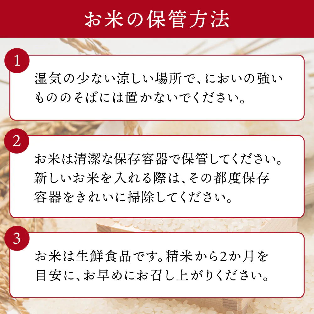 【タイムセール】令和4年産 新米 雪若丸 10kg お米 コメ 精米 山形県産 送料無料