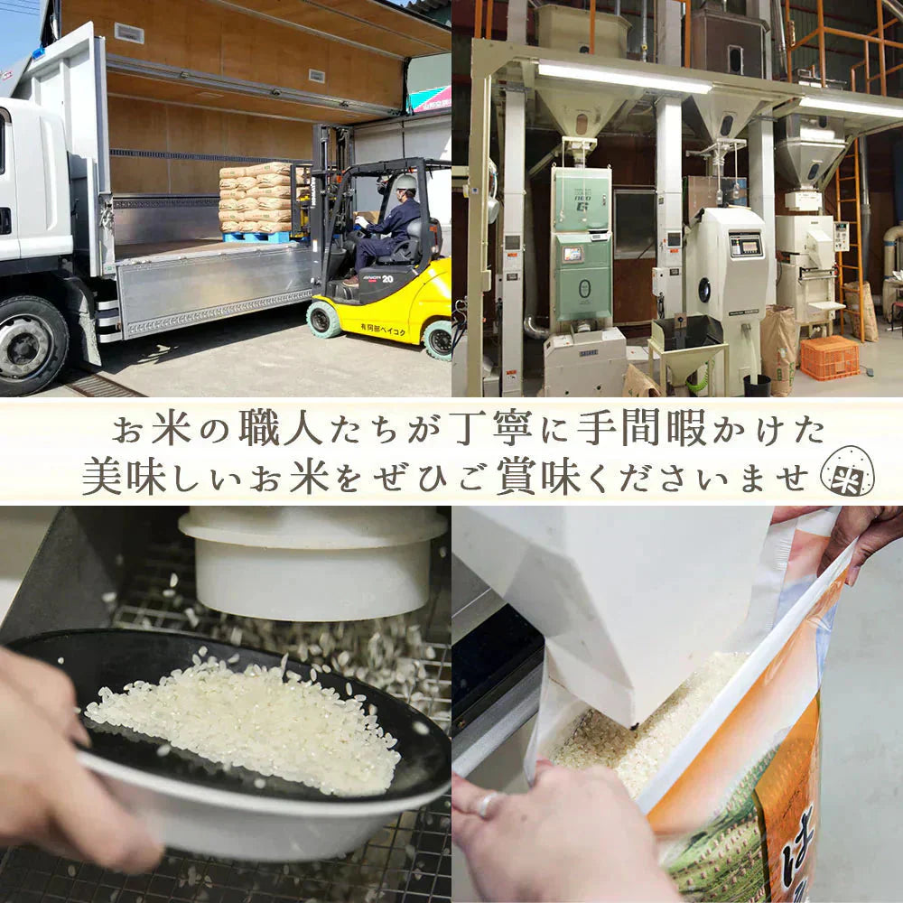 白米 10kg (5kg×2袋) 米屋仕立て 国内産 送料無料 米10キロ こめ コメ お米 新米 お米10kg