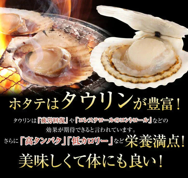 ほたて ホタテ おつまみ 珍味 北海道 ソフト ほたて貝柱 110g 送料無料 オリジナルレシピ付